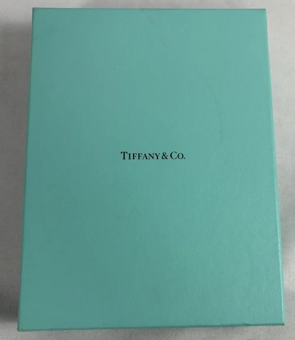 Authentic Tiffany & Co Gift Box Blue W/ storage Bag made in Italy